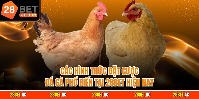 Các hình thức đặt cược đá gà phổ biến tại 28bet hiện nay